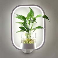 Garden indoor Led wall lamp lovely home decoration